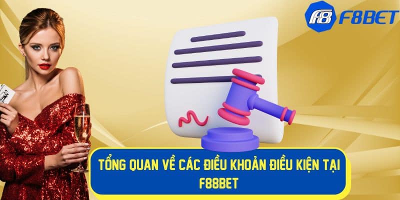 Chi tiết về điều khoản điều kiện tại nhà cái