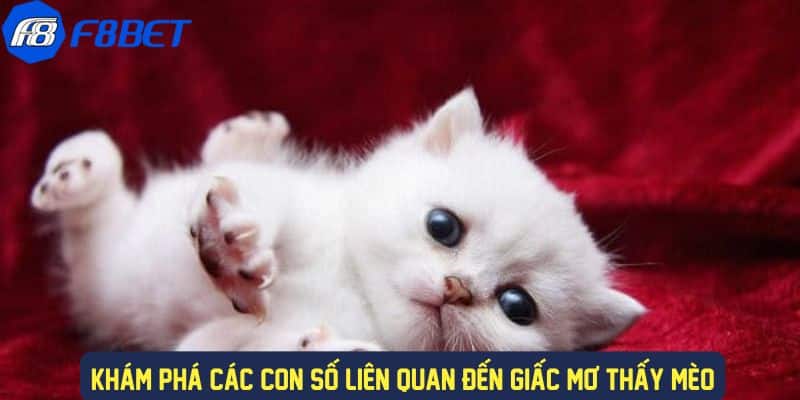 Giải Mã Ý Nghĩa Giấc Mơ Thấy Mèo Đánh Gì Trong Lô Đề F88BET 3 Những con số nên đánh khi mơ thấy mèo