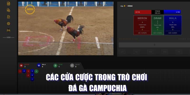 Các cửa cược trong trò chơi đá gà Campuchia