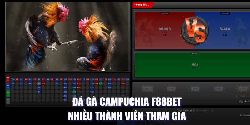 Đá gà Campuchia F88BET nhiều thành viên tham gia 